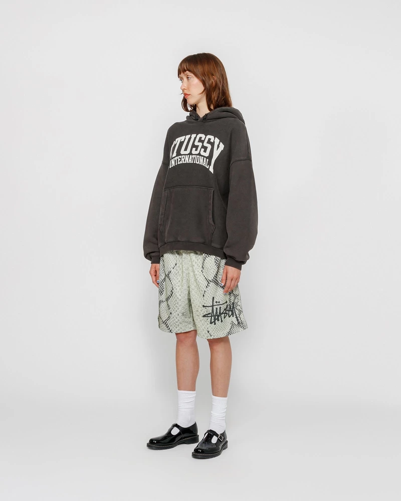 Stussy RELAXED HOODIE INTERNATIONAL