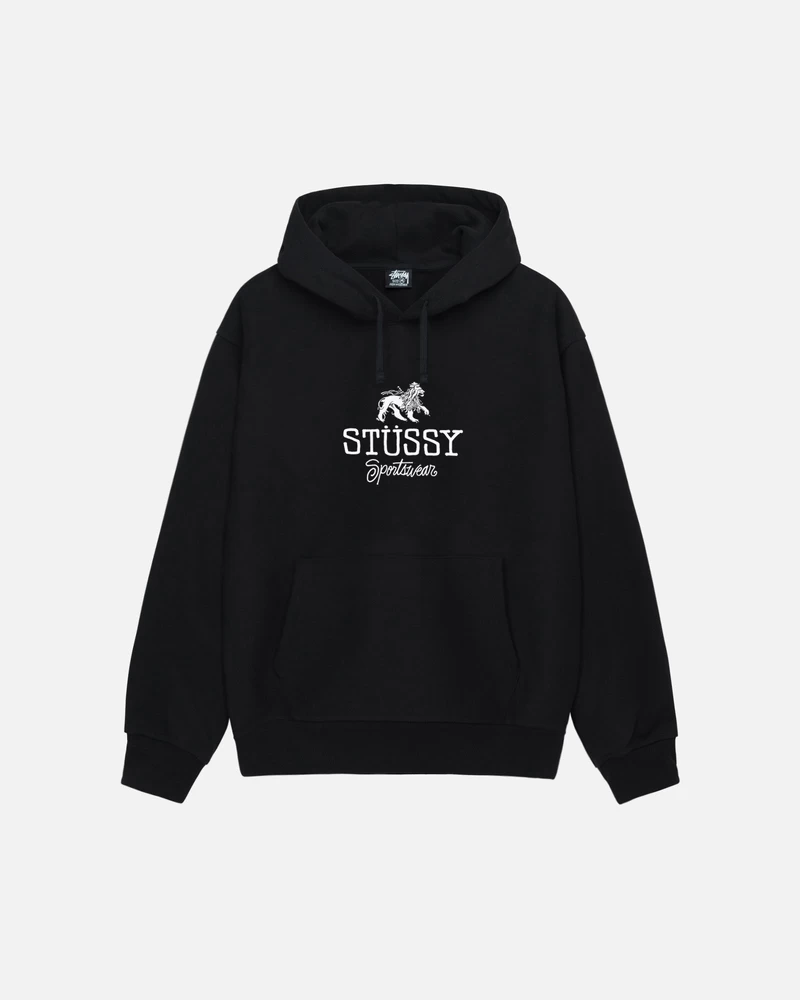 Stussy SPORTSWEAR HOODIE