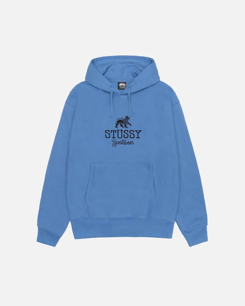 Stussy SPORTSWEAR HOODIE