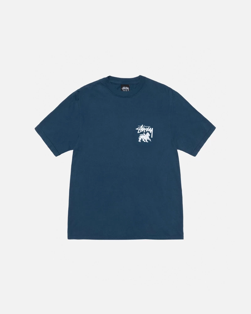 Stussy RASTA LION TEE PIGMENT DYED