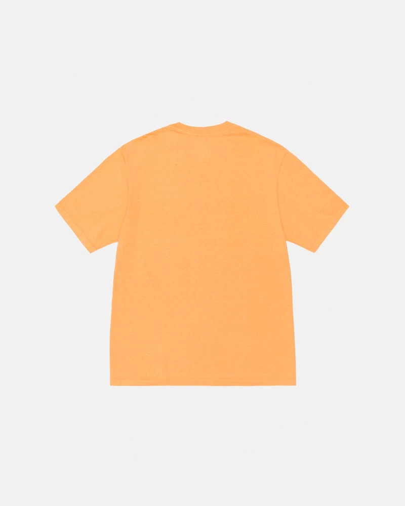 Stussy RASTA LION TEE PIGMENT DYED