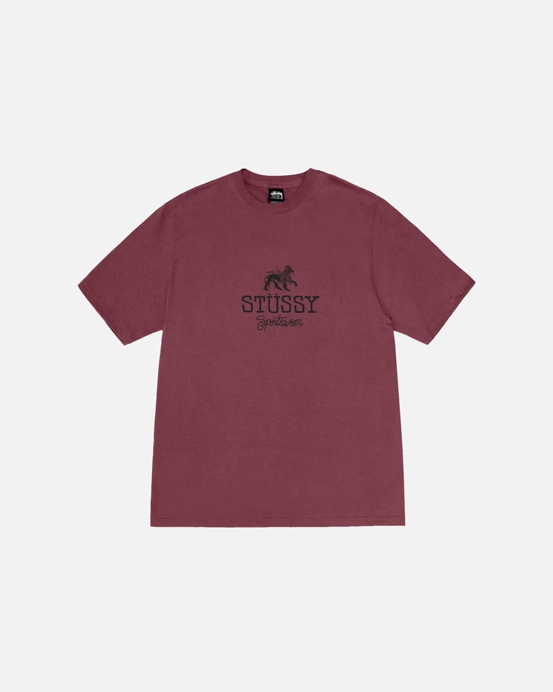 Stussy SPORTSWEAR TEE