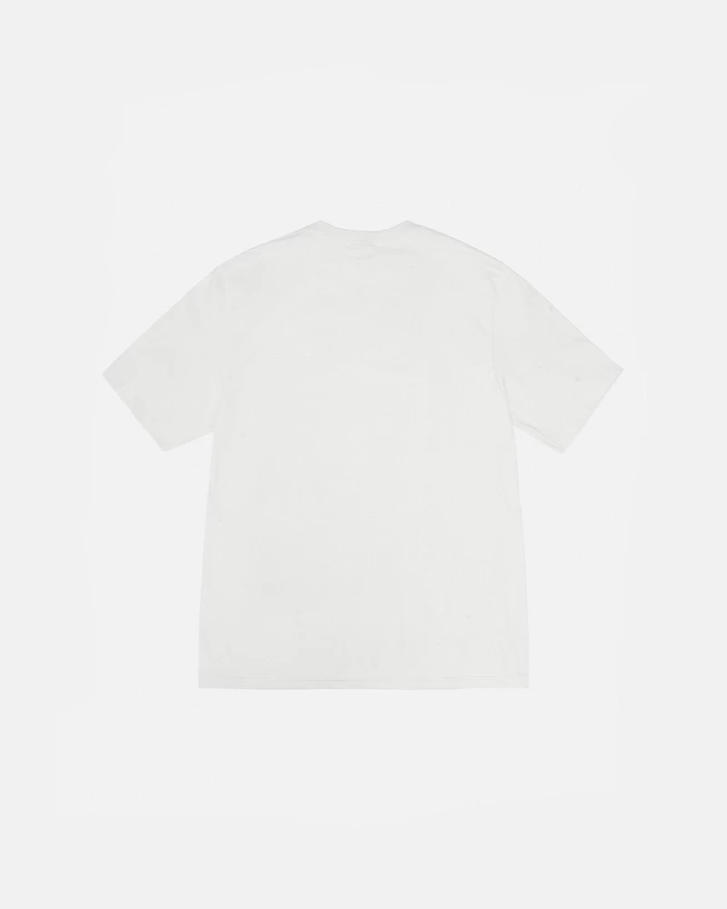 Stussy BEACH ROOTS TEE PIGMENT DYED